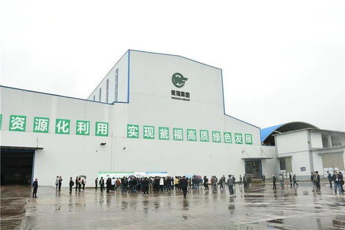 石膏新紀(jì)元 走進(jìn)優(yōu)質(zhì)石膏工廠，見(jiàn)證機(jī)械化施工的力量